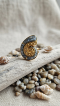 Anello atlantide